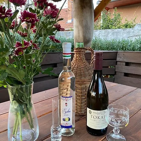 Zimmer Feri Vendégház Vendégház *