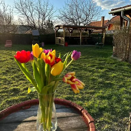 Zimmer Feri Vendégház *