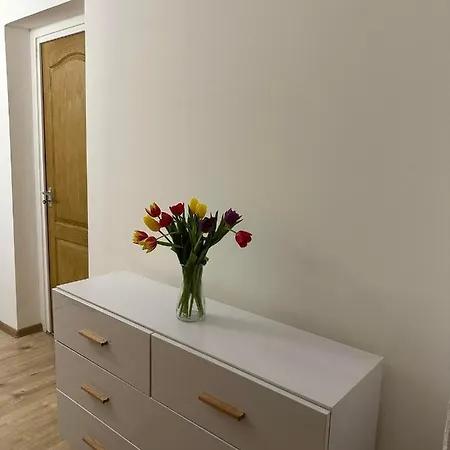 Zimmer Feri Vendeghaz Guest house *