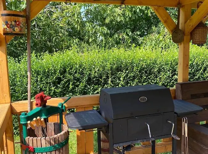 Zimmer Feri Vendeghaz *