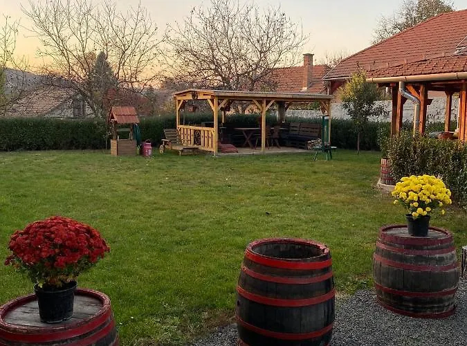 Zimmer Feri Vendeghaz *