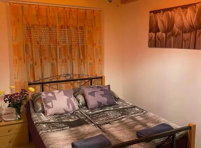 Zimmer Feri Vendeghaz 게스트하우스 *