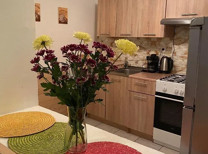 게스트하우스 Zimmer Feri Vendeghaz