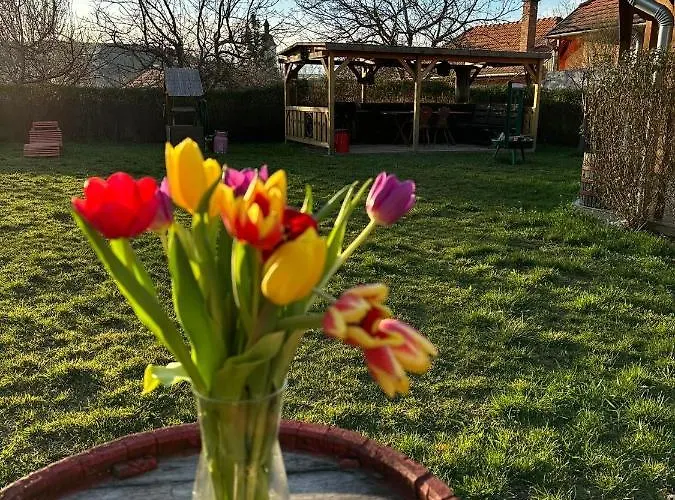 Zimmer Feri Vendeghaz *