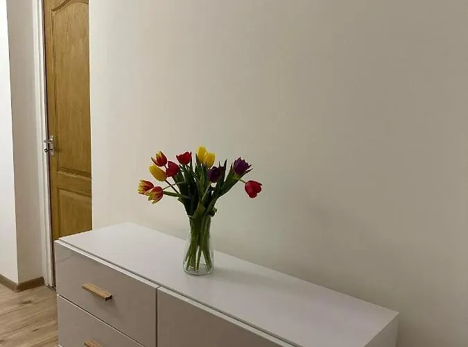 Zimmer Feri Vendeghaz 게스트하우스 *