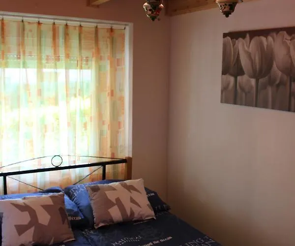 Zimmer Feri Vendeghaz *